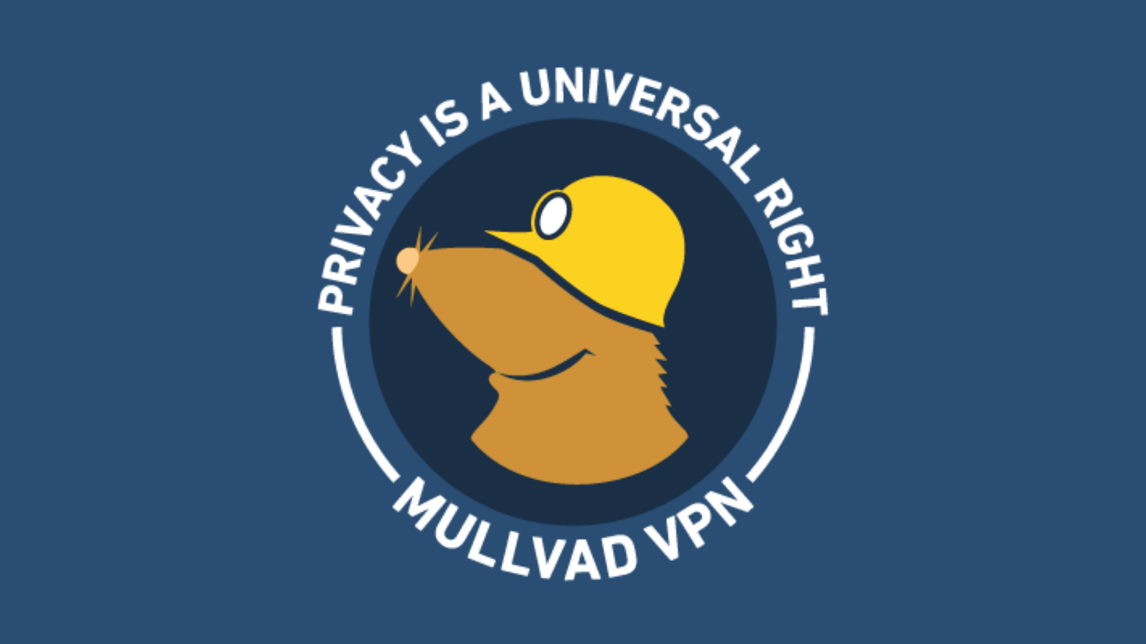 Mullvad VPN Test – ein sonderbar sympathischer Sonderling!